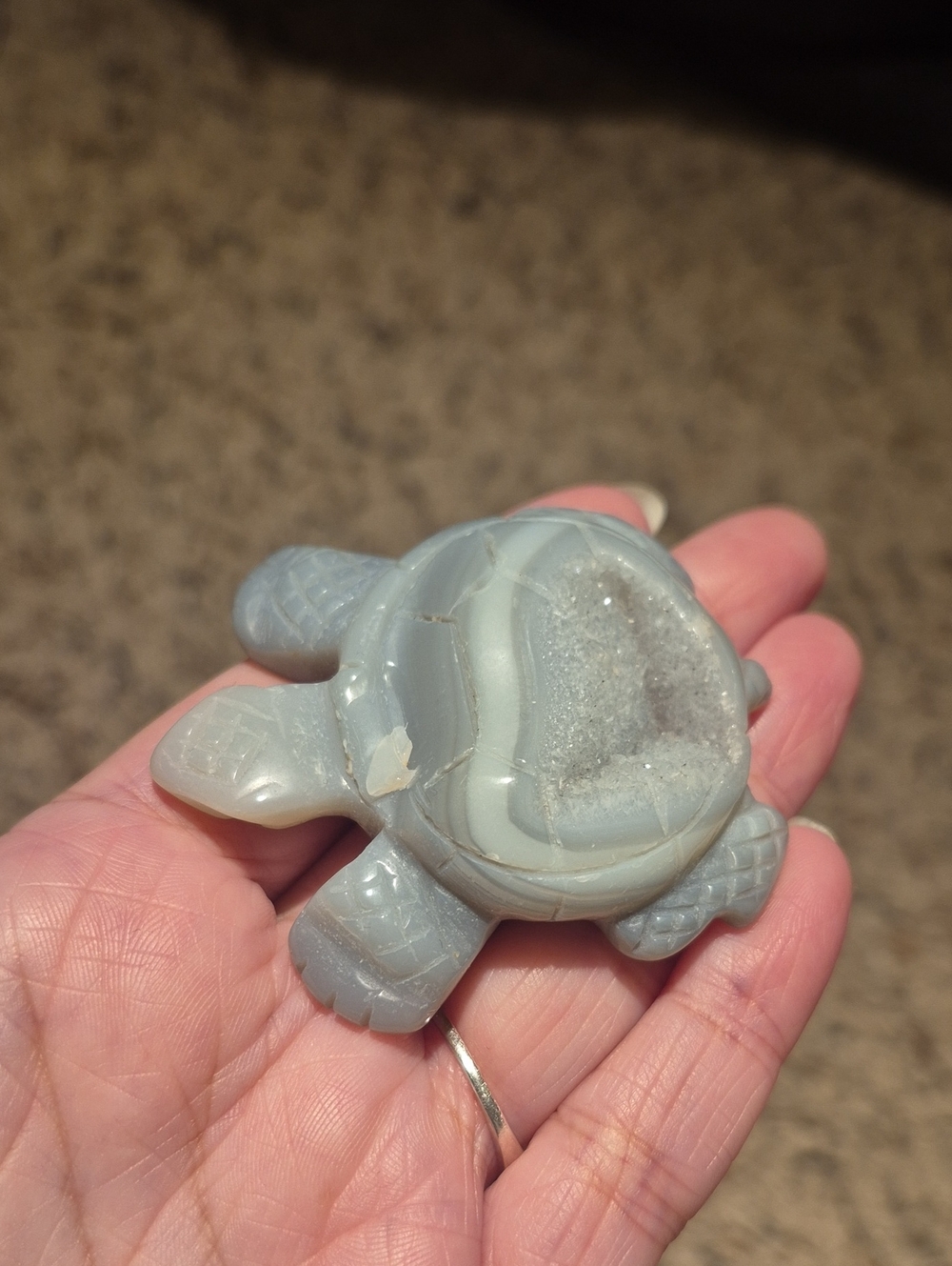 Carved Agate Turtle with Druzy Geode - Soft Gray